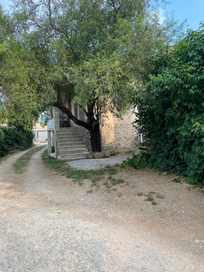 Maison A 20 Min Des Plages De Sainte Maxime Le Muy Exteriör bild
